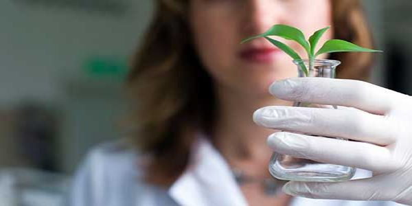 Botany Syllabus for UPSC must be studied before you jump into the core topics. You can check the previous year's papers to learn more about the subject. 