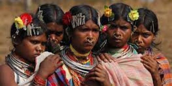 We have added information on the tribal groups in India. 
