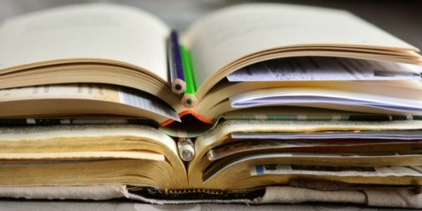 Understand the pros and cons of taking this as optional for the UPSC exam