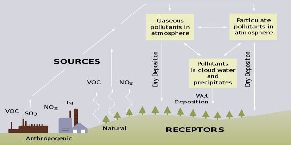 What is Acid Rain is answered very well via news and articles. Acid Rain Definition, ph of acid rain, causes of acid rain are imp topics for UPSC exam. 
