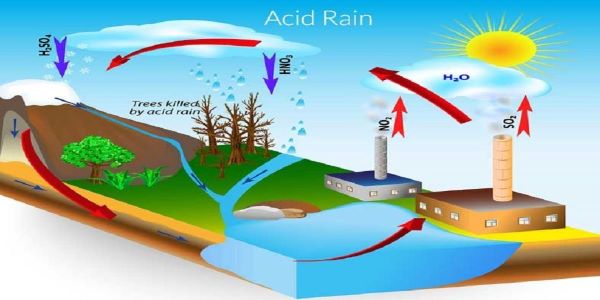 To understand What is Acid Rain, you need to read the hydrological cycle of gases and learn the precipitation quality. 