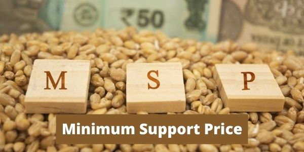 Get all the details related to the Minimum Support Price, msp full form  and related details. 