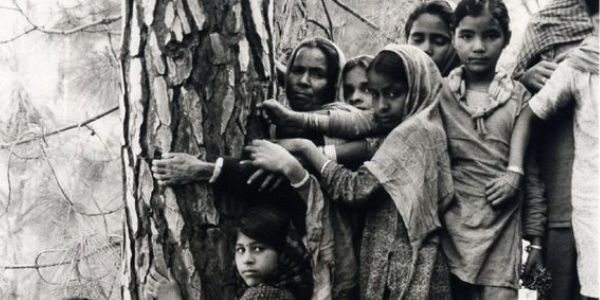 Know about the chipko andolan and other details.