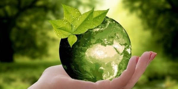 Know about the air prevention and control of pollution act and environmental protection laws