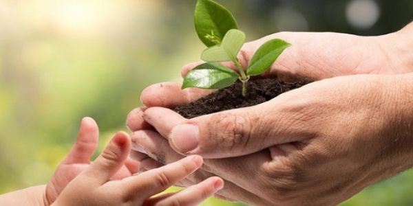Understand FAQs related to the Environment Protection Act