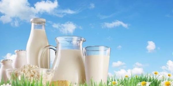 Know FAQs related to the White revolution in India