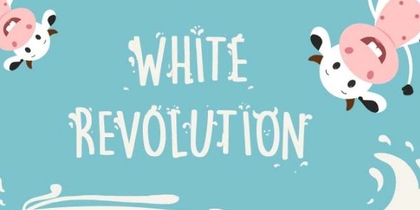 Know about the White Revolution in India. Get details of the what is Operation Flood, Milk Revolution, and other important details