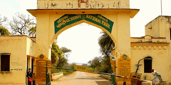 Sariska Alwar National Park