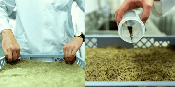 Vertical Farming