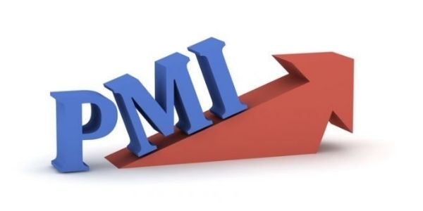 Understand manufacturing PMI and why it vital for the IAS
